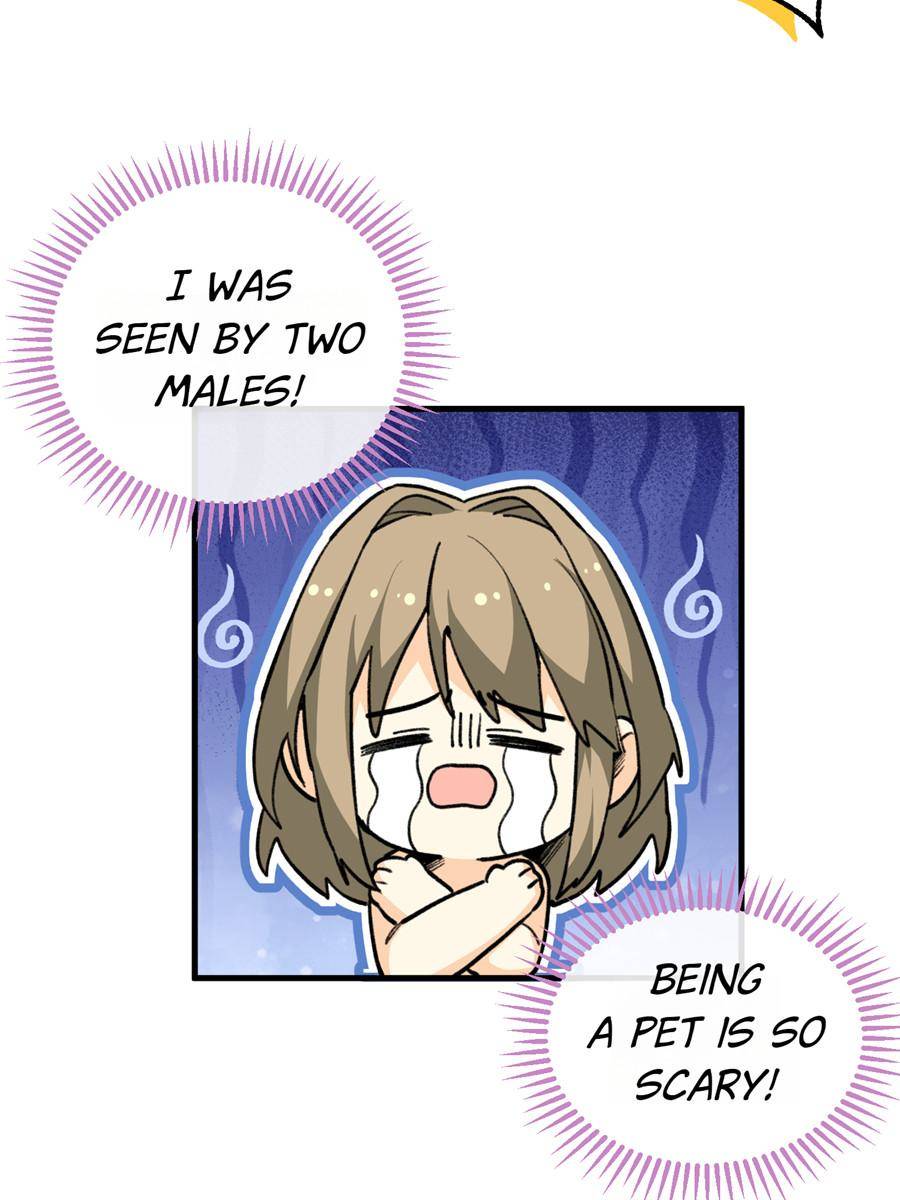 80554590 900 1200 101826