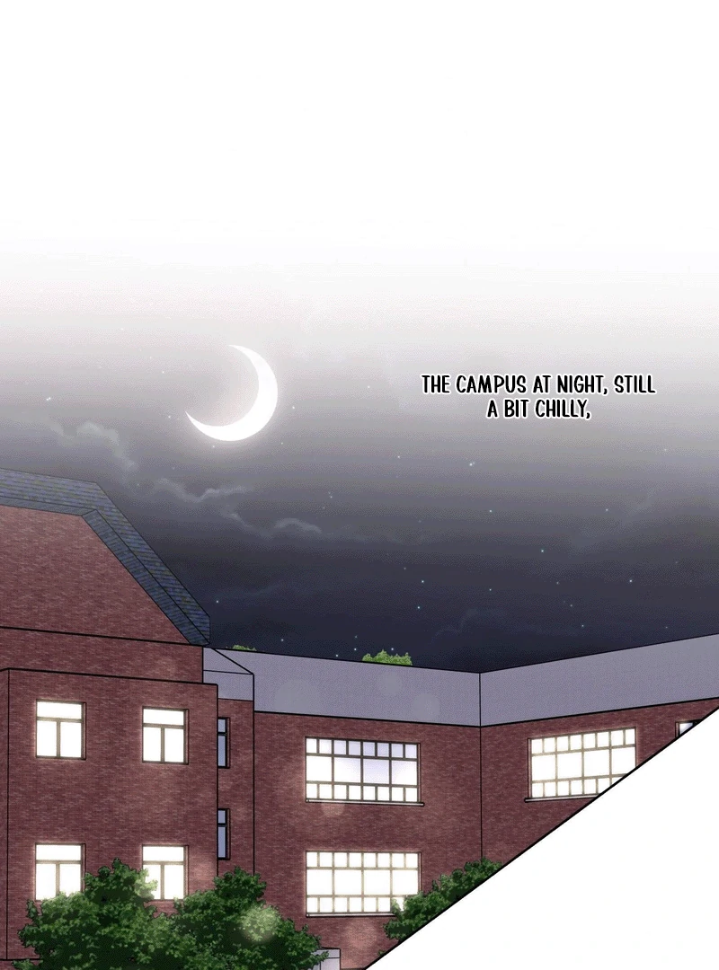 88495434 800 1080 124482