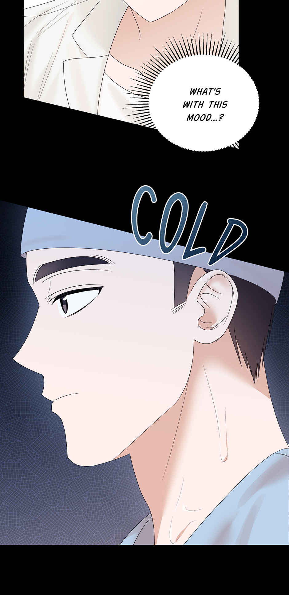 67079800 940 1933 2891690